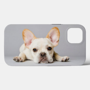 Niedliche Kleintiere Französischer Bulldog flieg Case-Mate iPhone Hülle