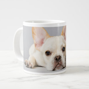 Niedliche Kleintiere   Französischer Bulldog flieg Jumbo-Tasse