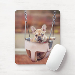 Niedliche Kleintiere   Französischer Bulldog-Playg Mousepad