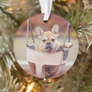 Niedliche Kleintiere   Französischer Bulldog-Playg Ornament