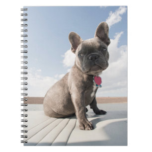 Niedliche Kleintiere Französisches Bulldog-Boot Notizblock