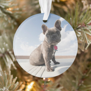 Niedliche Kleintiere Französisches Bulldog-Boot Ornament