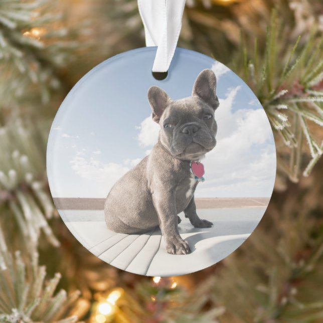 Niedliche Kleintiere | Französisches Bulldog-Boot Ornament (Baum)