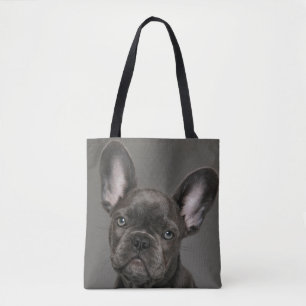 Niedliche Kleintiere French Bulldog