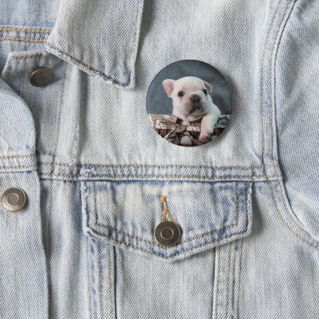 Niedliche Kleintiere | French Bulldog Button (Beispiel)
