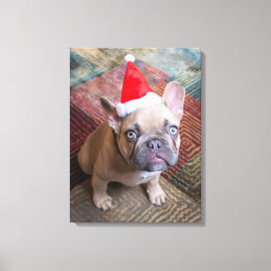 Niedliche Kleintiere French Bulldog Christmas Leinwanddruck