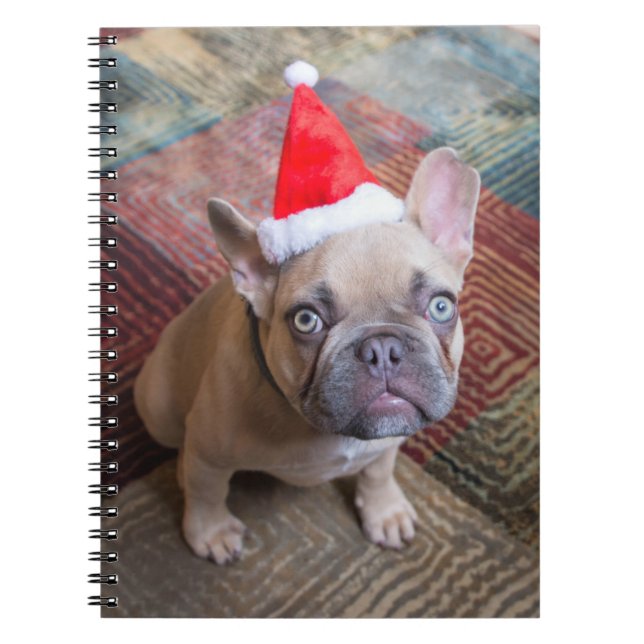 Niedliche Kleintiere | French Bulldog Christmas Notizblock (Vorderseite)