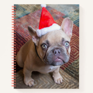 Niedliche Kleintiere French Bulldog Christmas Notizbuch