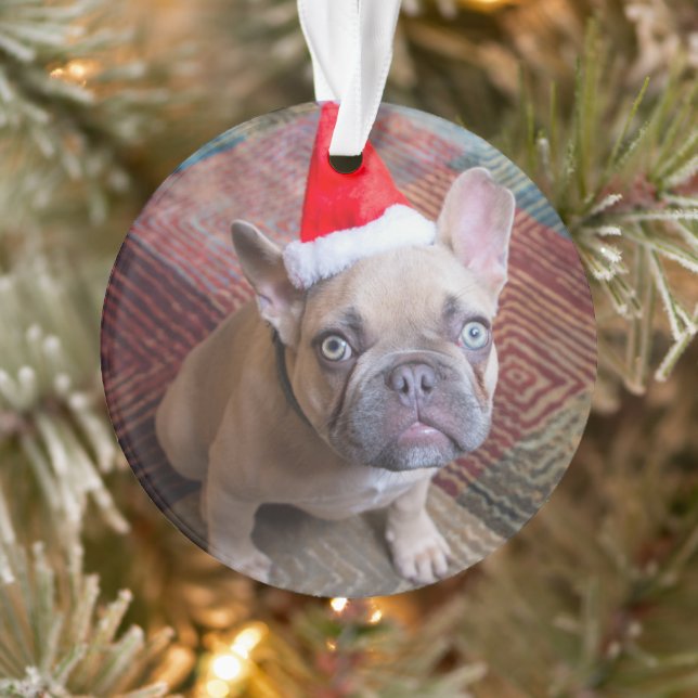 Niedliche Kleintiere | French Bulldog Christmas Ornament (Baum)
