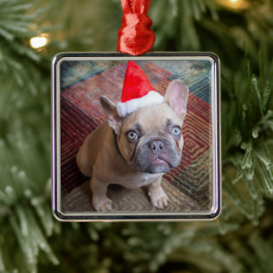 Niedliche Kleintiere   French Bulldog Christmas Ornament Aus Metall