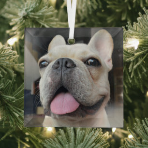 Niedliche Kleintiere   French Bulldog Face Ornament Aus Glas