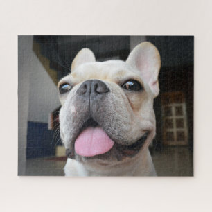 Niedliche Kleintiere   French Bulldog Face Puzzle