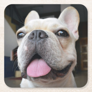 Niedliche Kleintiere French Bulldog Face Rechteckiger Pappuntersetzer