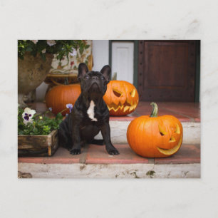 Niedliche Kleintiere   French Bulldog Halloween Postkarte