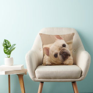 Niedliche Kleintiere French Bulldog Head Tilt Kissen