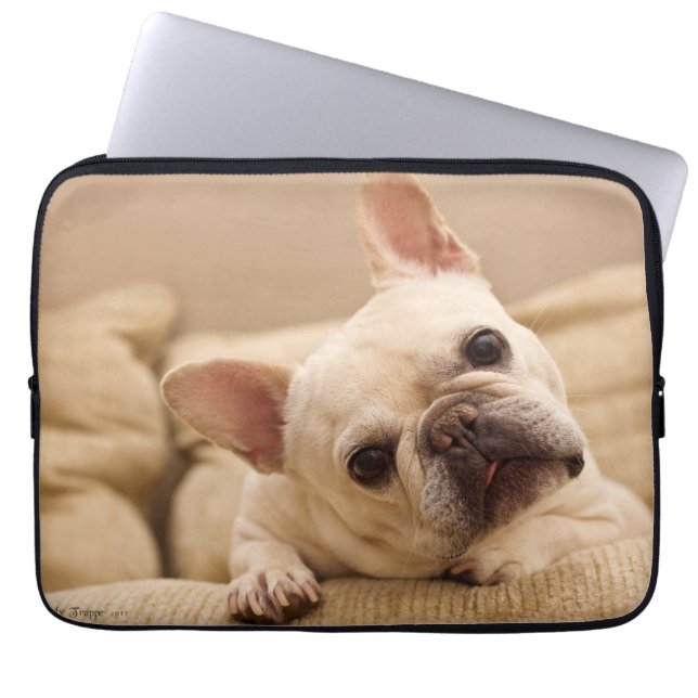 Niedliche Kleintiere | French Bulldog Head Tilt Laptopschutzhülle (Vorderseite)