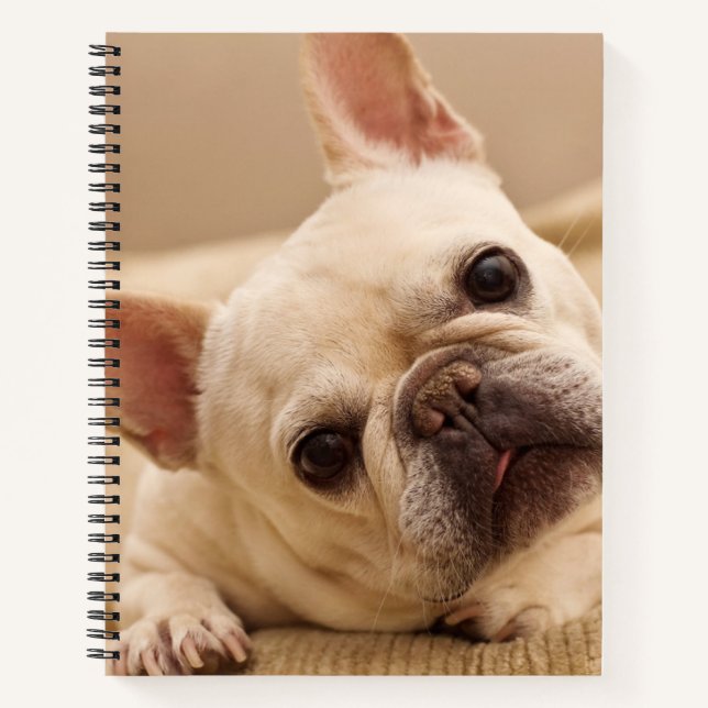 Niedliche Kleintiere | French Bulldog Head Tilt Notizbuch (Vorderseite)