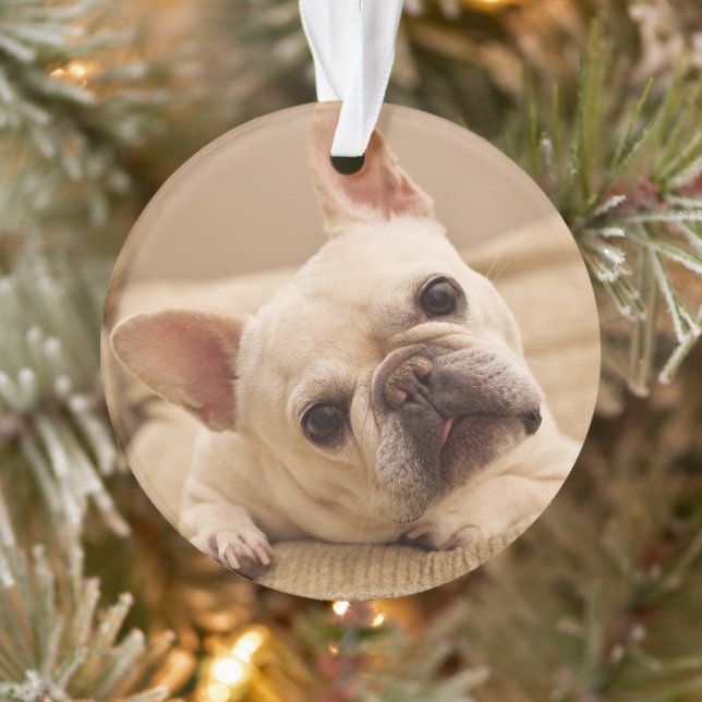 Niedliche Kleintiere | French Bulldog Head Tilt Ornament (Baum)
