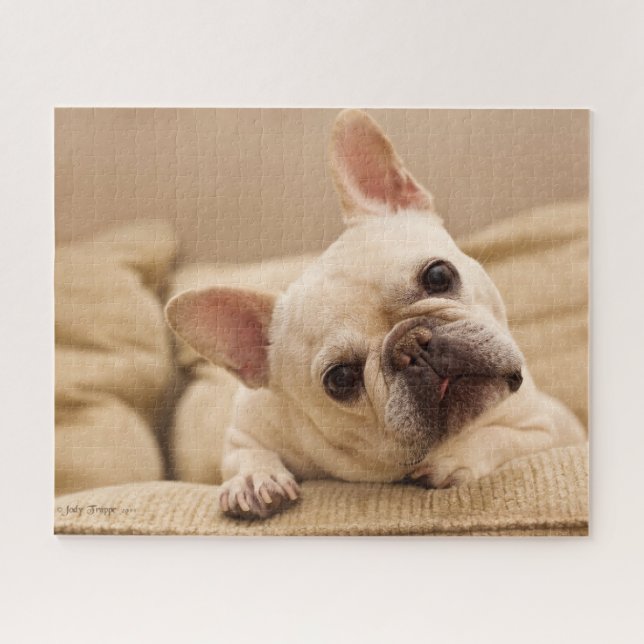 Niedliche Kleintiere | French Bulldog Head Tilt Puzzle (Horizontal)