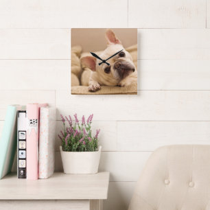 Niedliche Kleintiere French Bulldog Head Tilt Quadratische Wanduhr