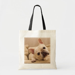 Niedliche Kleintiere French Bulldog Head Tilt Tragetasche