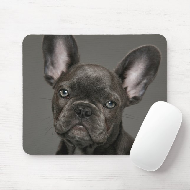 Niedliche Kleintiere | French Bulldog Mousepad (Mit Mouse)