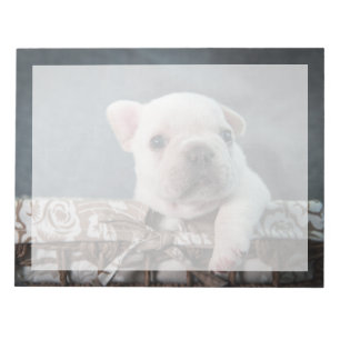 Niedliche Kleintiere   French Bulldog Notizblock