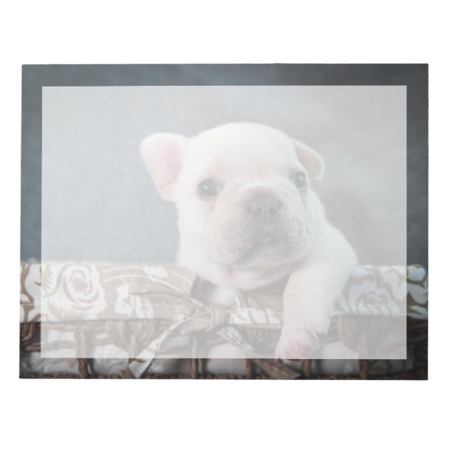 Niedliche Kleintiere | French Bulldog Notizblock (Vorderseite)