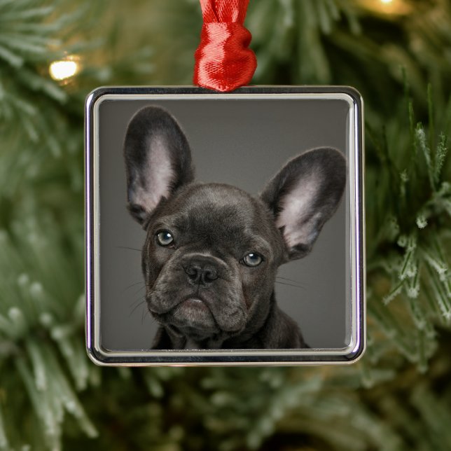 Niedliche Kleintiere | French Bulldog Ornament Aus Metall (Baum)