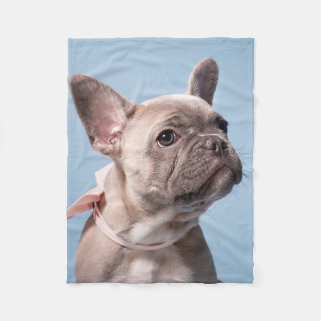 Niedliche Kleintiere | French Bulldog Pink Bow Fleecedecke (Vorderseite)