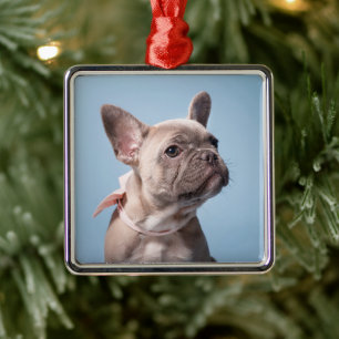 Niedliche Kleintiere French Bulldog Pink Bow Ornament Aus Metall