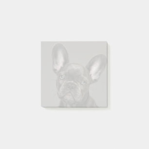 Niedliche Kleintiere   French Bulldog Post-it Klebezettel
