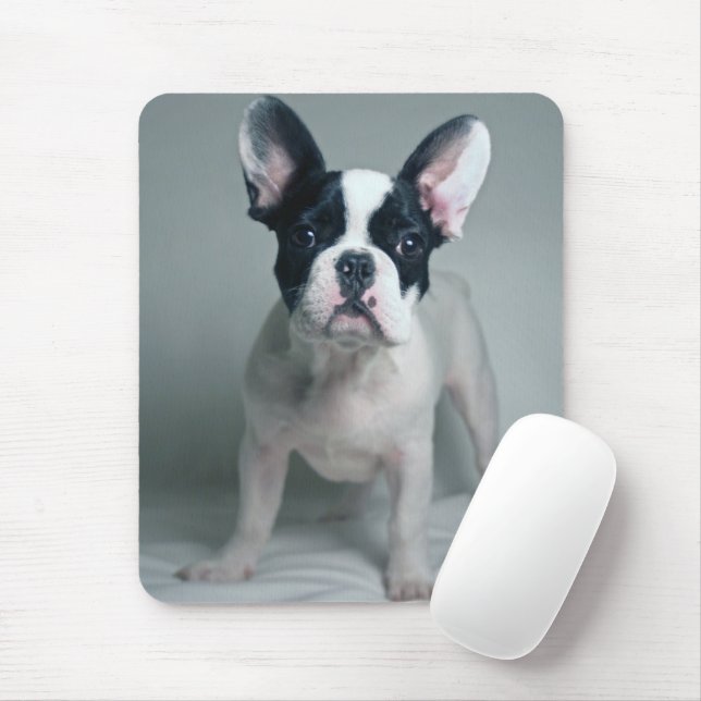 Niedliche Kleintiere | French Bulldog Puppy Mousepad (Mit Mouse)