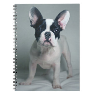 Niedliche Kleintiere   French Bulldog Puppy Notizblock