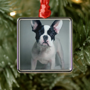 Niedliche Kleintiere   French Bulldog Puppy Ornament Aus Metall