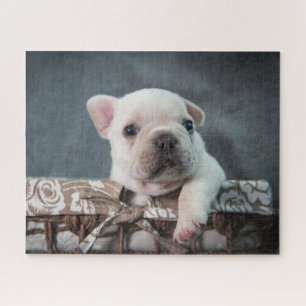 Niedliche Kleintiere French Bulldog Puzzle