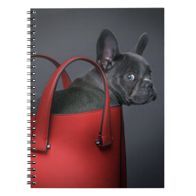 Niedliche Kleintiere | French Bulldog Red Hand Bag Notizblock (Vorderseite)