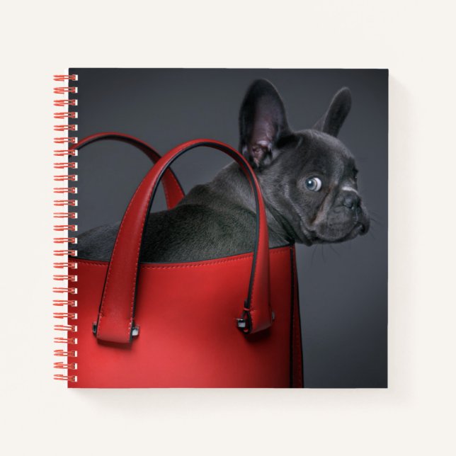 Niedliche Kleintiere | French Bulldog Red Hand Bag Notizbuch (Vorderseite)