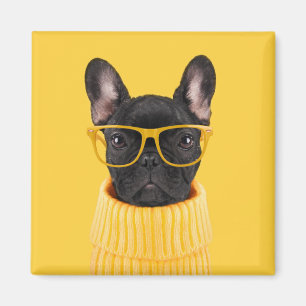 Niedliche Kleintiere   French Bulldog-Sonnenbrille Magnet
