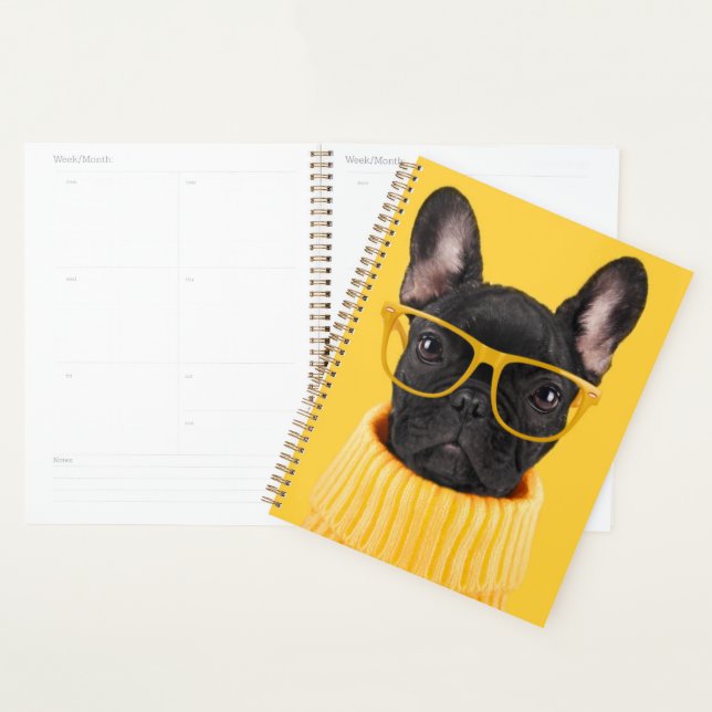 Niedliche Kleintiere | French Bulldog-Sonnenbrille Planer (Anzeige)