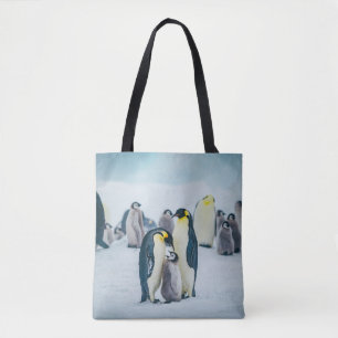 Niedliche Kleintiere   Fütternd Baby Pinguin