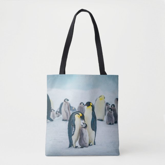 Niedliche Kleintiere | Fütternd Baby Pinguin (Vorderseite)