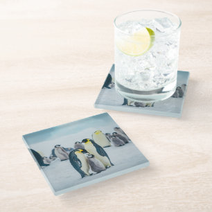 Niedliche Kleintiere Fütternd Baby Pinguin Glasuntersetzer