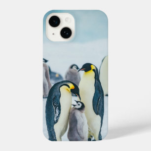 Niedliche Kleintiere   Fütternd Baby Pinguin iPhone 14 Hülle