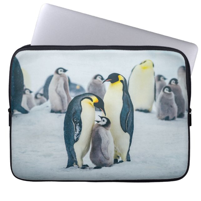 Niedliche Kleintiere | Fütternd Baby Pinguin Laptopschutzhülle (Vorderseite)