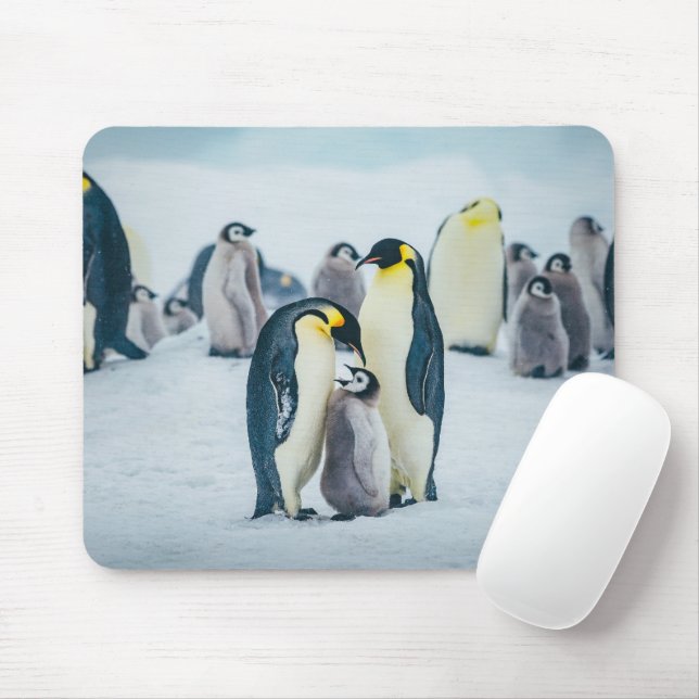 Niedliche Kleintiere | Fütternd Baby Pinguin Mousepad (Mit Mouse)