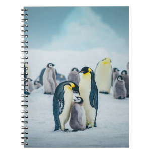 Niedliche Kleintiere   Fütternd Baby Pinguin Notizblock