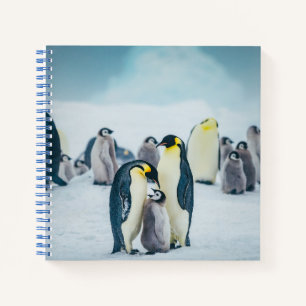 Niedliche Kleintiere Fütternd Baby Pinguin Notizbuch