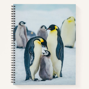 Niedliche Kleintiere Fütternd Baby Pinguin Notizbuch