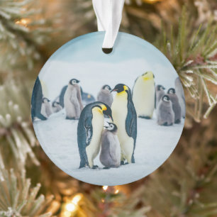 Niedliche Kleintiere Fütternd Baby Pinguin Ornament